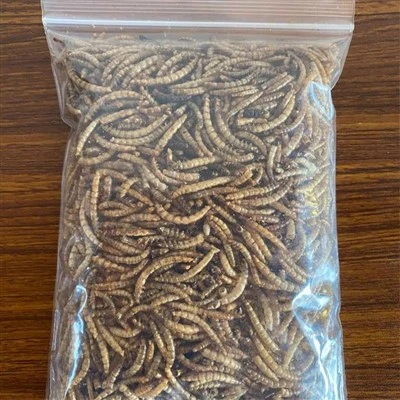 25 kg kuivatatud söögi ussid