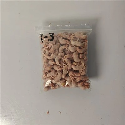 Külmutatud roosad rotid