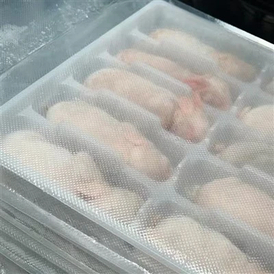 Terve külmutatud küülik